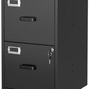 Vertical 2 Drawer File Cabinet with Lock | Steel Filing Storage for Office & Home | Letter Size | Secure Organization |